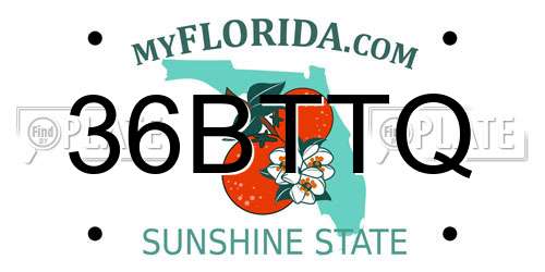36BTTQ Florida License Plate
