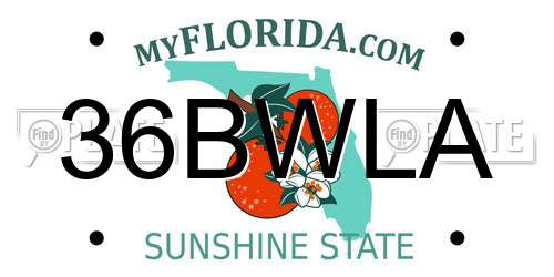 36BWLA Florida License Plate