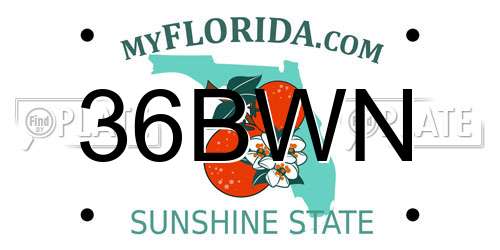 36BWN Florida License Plate