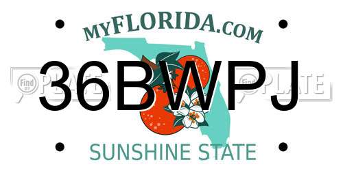36BWPJ Florida License Plate