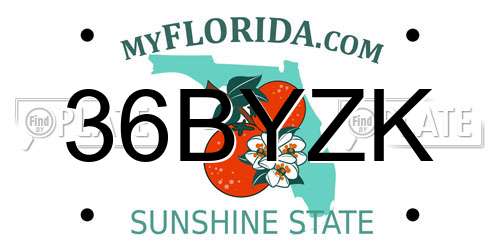 36BYZK Florida License Plate