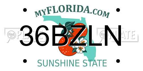 36BZLN Florida License Plate
