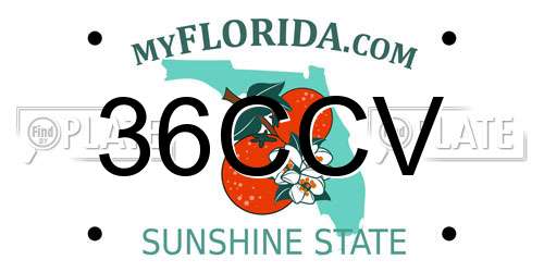 36CCV Florida License Plate