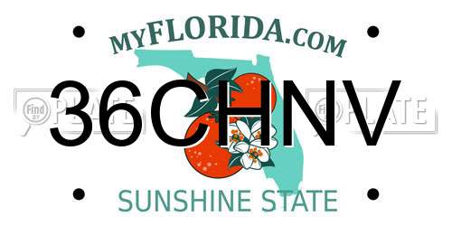 36CHNV Florida License Plate