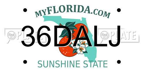36DALJ Florida License Plate