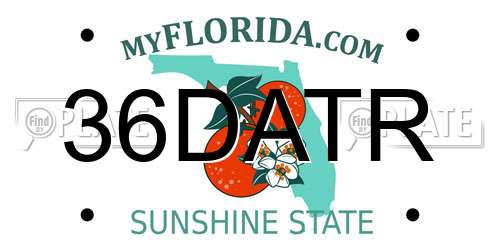 36DATR Florida License Plate