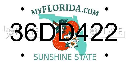 36DD422 Florida License Plate