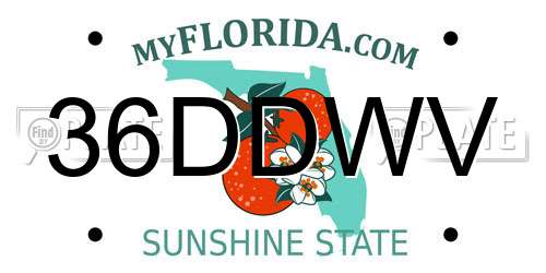 36DDWV Florida License Plate