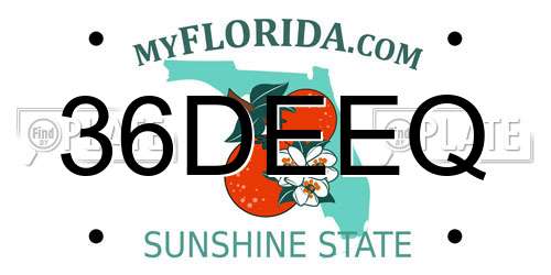 36DEEQ Florida License Plate