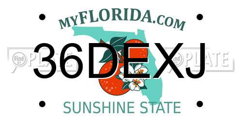 36DEXJ Florida License Plate