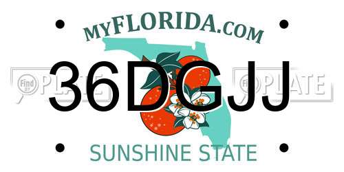 36DGJJ Florida License Plate