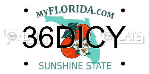 36DICY Florida License Plate