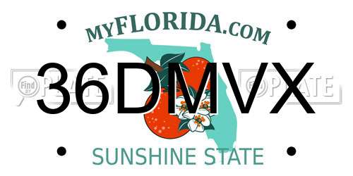 36DMVX Florida License Plate