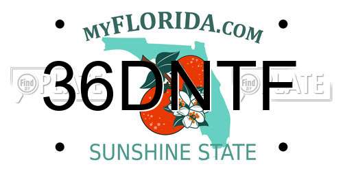 36DNTF Florida License Plate