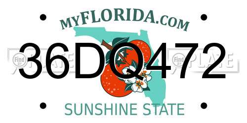 36DQ472 Florida License Plate