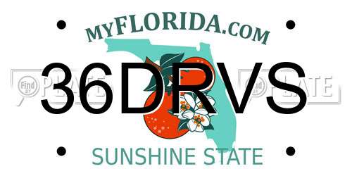 36DRVS Florida License Plate