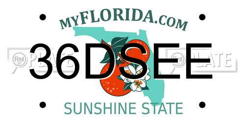 36DSEE Florida License Plate