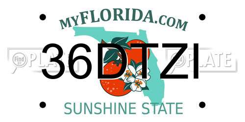 36DTZI Florida License Plate