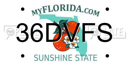 36DVFS Florida License Plate