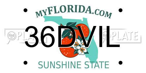 36DVIL Florida License Plate