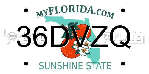 36DVZQ Florida License Plate