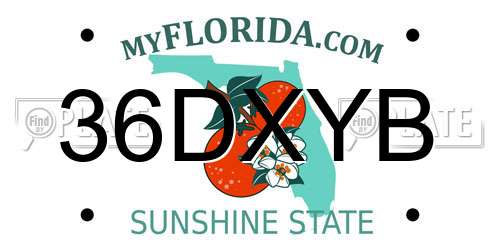 36DXYB Florida License Plate