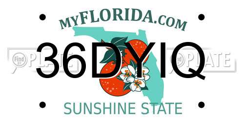 36DYIQ Florida License Plate