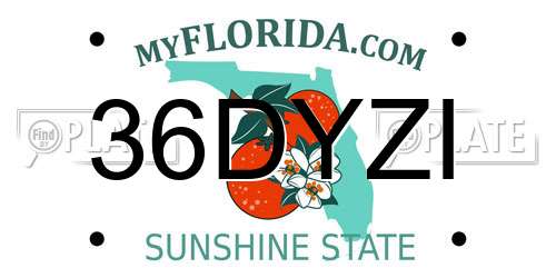 36DYZI Florida License Plate