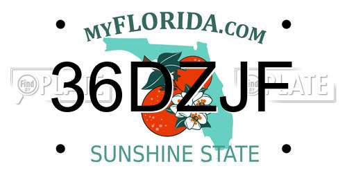 36DZJF Florida License Plate
