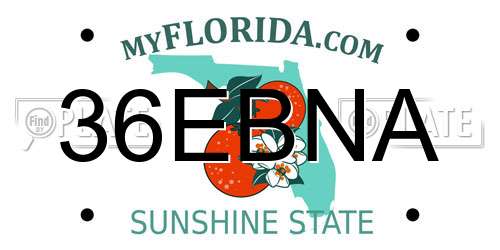 36EBNA Florida License Plate