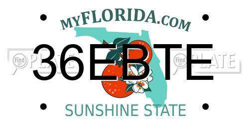 36EBTE Florida License Plate