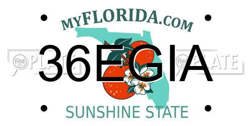 36EGIA Florida License Plate