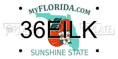 36EILK Florida License Plate