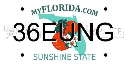 36EUNG Florida License Plate