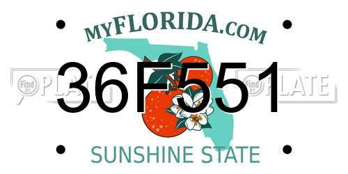 36F551 Florida License Plate