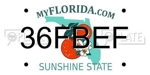 36FBEF Florida License Plate