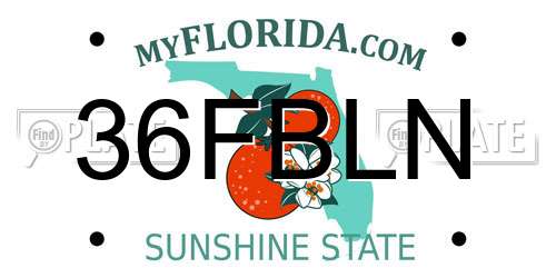 36FBLN Florida License Plate