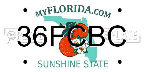 36FCBC Florida License Plate