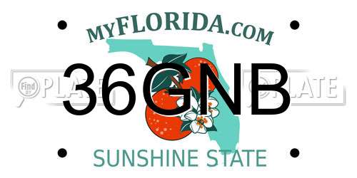 36GNB Florida License Plate