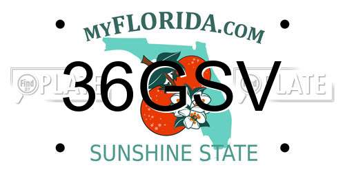 36GSV Florida License Plate