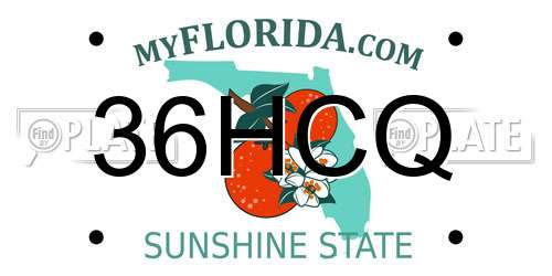 36HCQ Florida License Plate