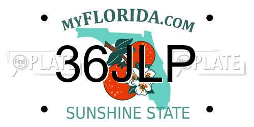 36JLP Florida License Plate