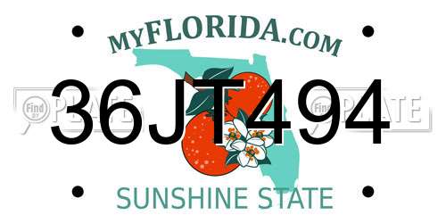 36JT494 Florida License Plate