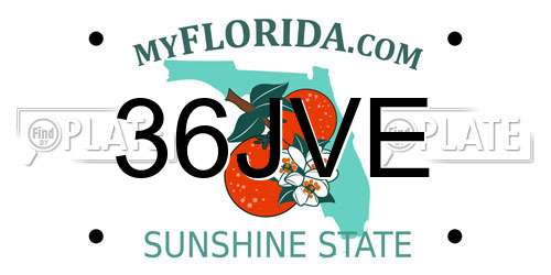 36JVE Florida License Plate