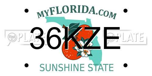 36KZE Florida License Plate