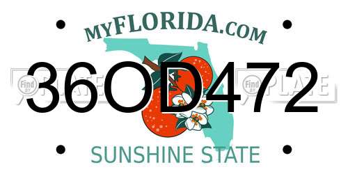 36OD472 Florida License Plate