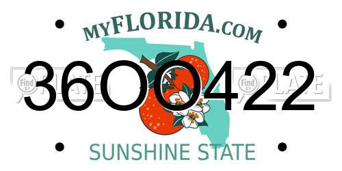 36OO422 Florida License Plate