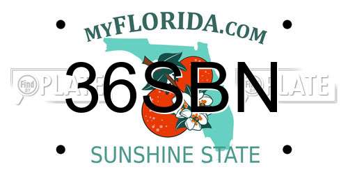 36SBN Florida License Plate