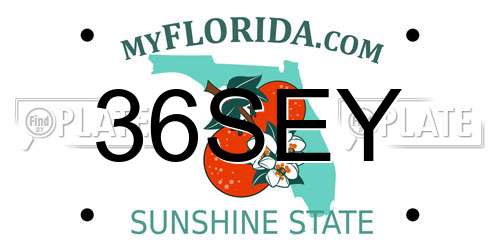 36SEY Florida License Plate