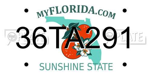 36TA291 Florida License Plate